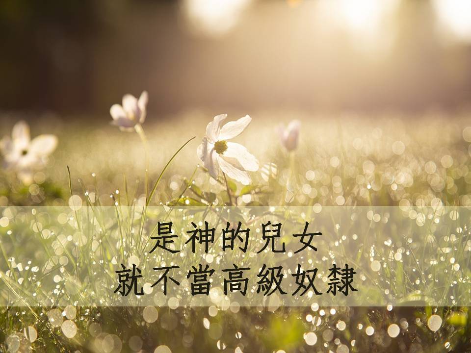 是神的兒女就不當高級奴隸 - 學園傳道會 馨香女人專欄