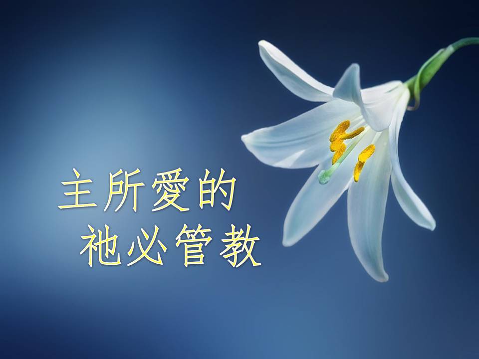 主所愛的，祂必管教 - 學園傳道會 馨香女人專欄